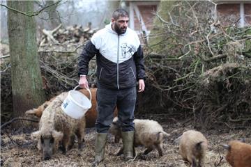 Biobauer Tuna Bozdogan füttert die Wollschweine. In der weiten Moorlandschaft in der Börde Lamstedt betreibt Familie Hollmann ihre Bio-Landwirtschaft als Hobby. Um ihre Tiere vor einem Wolfsübergriff zu schützen, haben die Hollmanns ihr Grundstück wolfsabweisend eingezäunt.