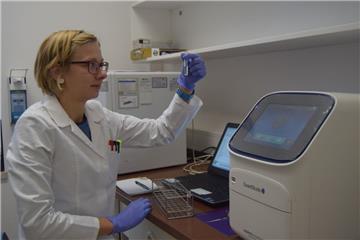 Biologin Lisa Neffe untersucht im Bremerhavener Labor von Dr. Schuhmacher Proben, die das Norovirus enthalten könnten.