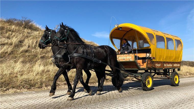 Bislang konnten Reisende auf Juist vom Flugplatz der Insel in den Ort mit einer Pferdekutsche fahren. Nun wird das Angebot eingestellt - aus wirtschaftlichen Gründen. 