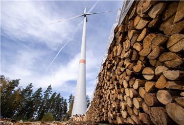 Windkraftanlage im Wald