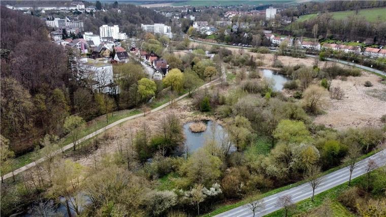 Blick auf Bad Gandersheim mit dem Auepark im Vordergrund.