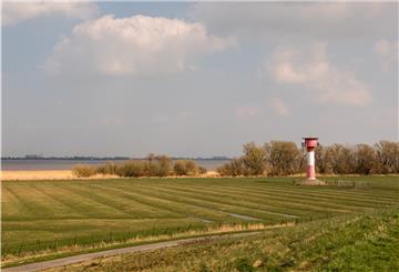 Blick auf das Deichvorland und die Elbe in dem Bereich, in dem ein Tunnel unter der Elbe durchlaufen soll.