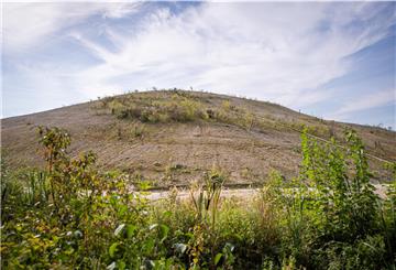 Blick auf den Tunnelberg in Leherheide. Wo jetzt noch Unkraut sprießt, werden im Frühjahr Bäume und Büsche gepflanzt.