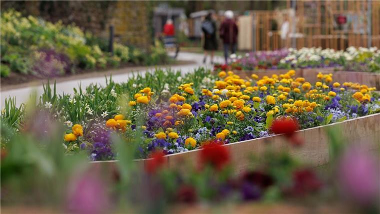 Blick auf ein Blumenbeet auf dem Gelände der Landesgartenschau 2023 in Höxter.