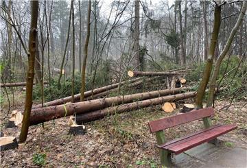 Blick in den Bürgerpark: Sieht ein bisschen nach Kahlschlag aus.