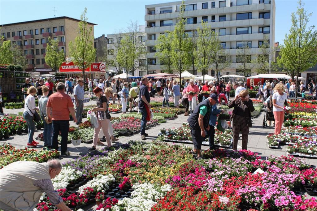 Blütenfest Geestemünde