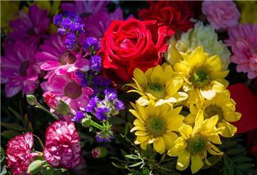 Blumen sind ein beliebtes Geschenk zum Valentinstag. 