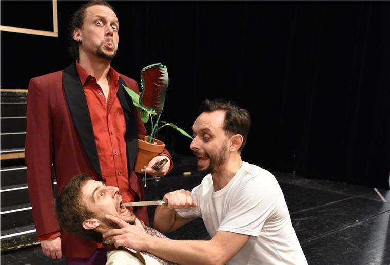 So cool wird der „Der kleine Horrorladen“ im Bremerhavener Stadttheater Menschen auf Theaterbühne