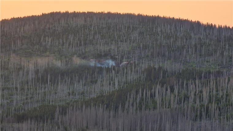 Hohe Waldbrandgefahr in einigen Regionen Brand in einem Waldgebiet in Niedersachsen.