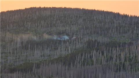 Brand in einem Waldgebiet in Niedersachsen.