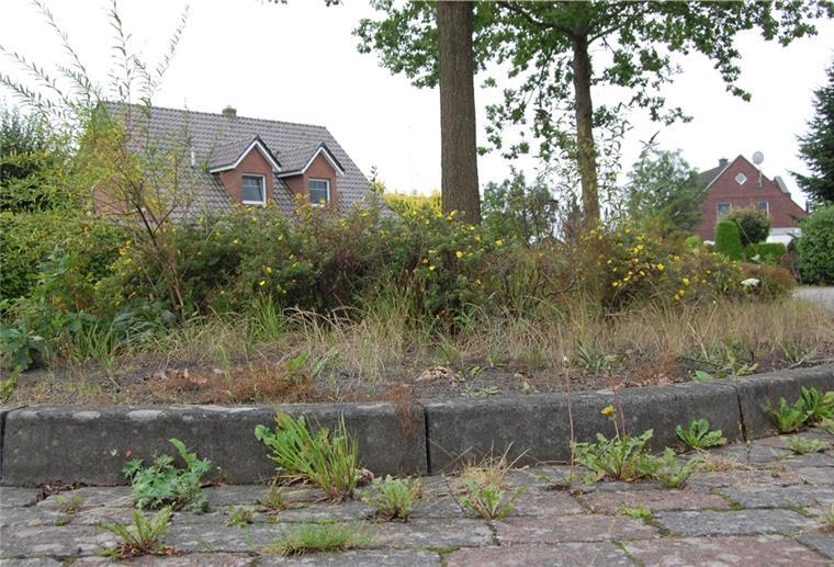 Bürger aus dem Stadtsüden beklagen den ungepflegten Zustand von Beeten und Flächen wie hier an der Fischerstraße.