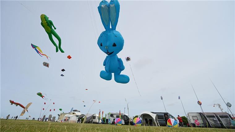 Bunte Drachen schweben am Himmel über Norddeich Bunte Drachen in Tierformen erheben sich beim Drachenfestival am Meer in die Lüfte.