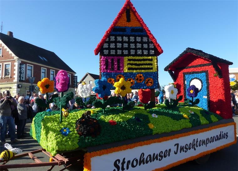 Bunte Mottowagen dürfen in Rodenkirchen nicht fehlen.