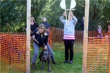 Butjadingen: Das Frauchen kann Dodge nur schwer im Zaum halten. Der italienische Cane Corso ist schon ganz heiß auf das Hunderennen.