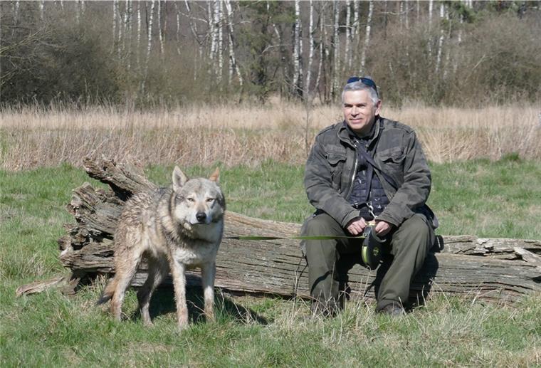 Christian Berge, einer der bekanntesten Wolfsschützer Deutschlands, wirft Umweltminister Lies vor, mit der Angst der Menschen zu spielen. Er fordert Schutzzäune statt Abschuss. Foto: privat