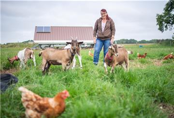 Christiane Döscher nutzt zur Vergrämung von Fuchs und Raubvögeln die Hilfe von Ziegen. Die Hühner im Auslauf des mobilen Hühnerstalls werden so geschützt.