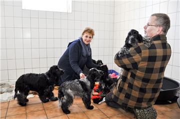 Christine Behrens und Michael Josten vom Tiergnadenhof Rasselbande Sandbostel kümmern sich um die 17 Cocker Spaniel, die nach dem tödlichen Ehedrama aus Kirchtimke dorthin gebracht worden sind.