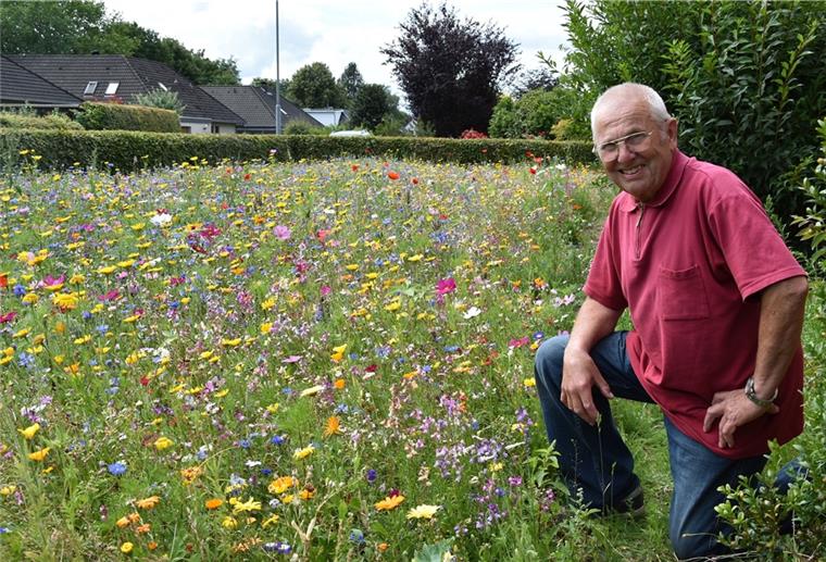 Cord Heinrich Wacker aus Tarmstedt blickt zufrieden auf das rege Insektenleben auf seiner neuen Blühwiese. „Hier finden die Bienen wieder was.“