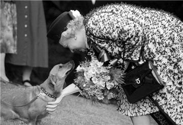 Die verstorbene Königin Elizabeth streichelt einen ihrer Corgis.