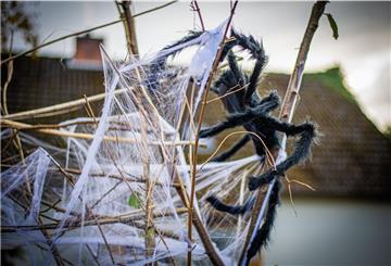 Corona macht erfinderisch: Nina Hildebrandt aus Bad Bederkesahat Halloween „Corona-fest“ gemacht.