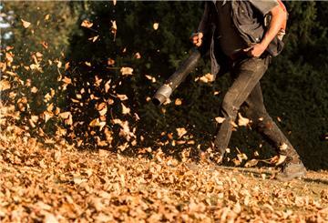  Ein Mann entfernt mit einem Laubgebläse herbstlich verfärbte Blätter