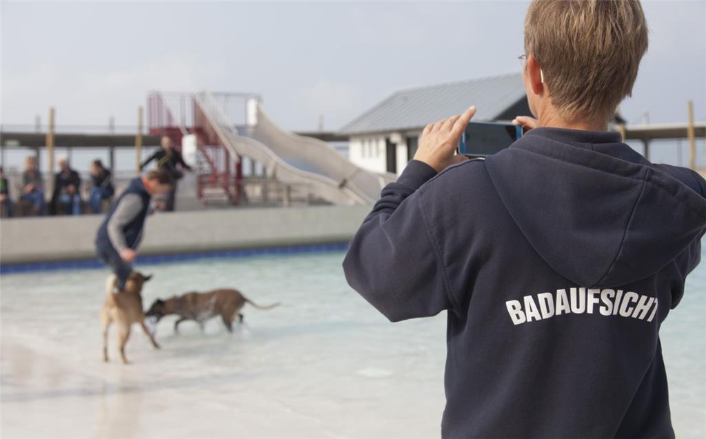 Da die Hunde im Watt&apos;n Bad allesamt eine gute und sichere Figur abgeben, ka...