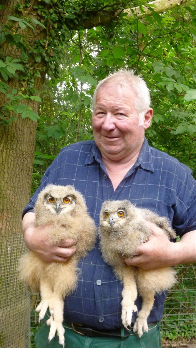 Beverstedt bekommt einen Tierpark Da freut sich der Beverstedter Tierarzt Dr. Heinz-Christian Steiner (hier mit zwei Uhus): Die Zeichen für seinen Tierpark stehen auf Grün.