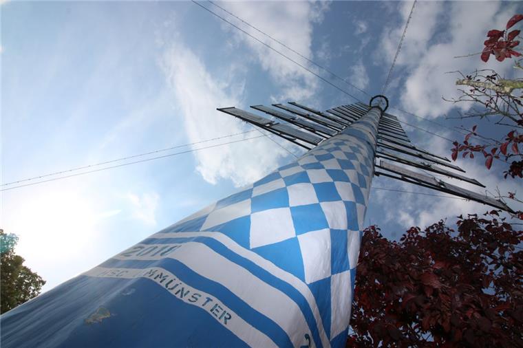 Neuer Maibaum in Abbehausen begrüßt Da ist er: Der neue Maibaum für Abbehausen ist knapp 50 Meter hoch.