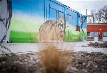 Da kommt Freude auf: Tierische Graffiti-Kunst ziert die Container ds Tierheims.