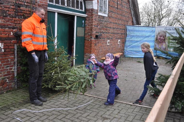 Da nicht jeder der Teilnehmer einen eigenen Tannenbaum mitgebracht hatte, mussten einige Weitwerfer auf Bäume der Familie Hellmers zurückgreifen. Die hatte verschiedene Modelle vorrätig, für Männer, Frauen und Kinder.  