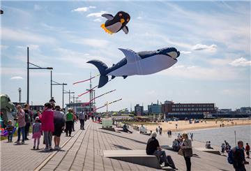 Drachenfestival am Weserdeich in Bremerhaven