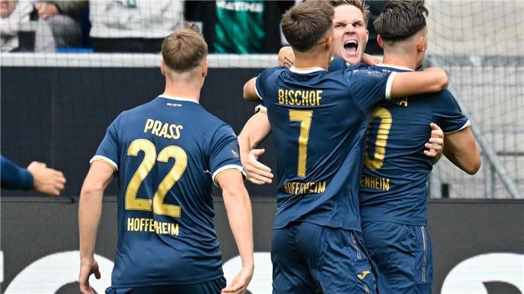 Vogelwildes 3:4 gegen Werder: Hoffenheim in Not Da war die Welt für die TSG Hoffenheim noch in Ordnung: Jubel über das 1:0-Führungstor gegen Bremen.