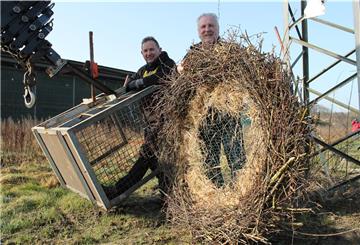Dachdecker Andreas Onken (links) und Storchenexperte Burkhard Schönfeld mit dem neuen Storchennest.