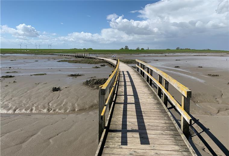 Ein Steg am Wattenmeer.
