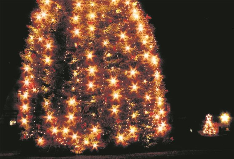 Vorweihnachtszeit in Debstedt mit Anleuchtfest und Markt Leuchtende Tannenbäume.