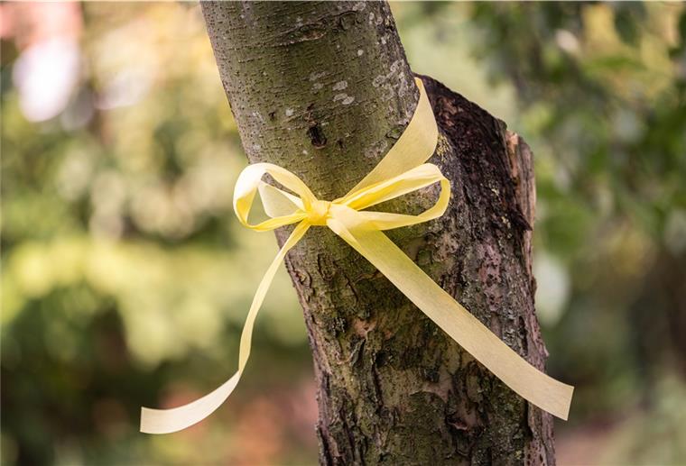 Das Band am Baum soll darauf aufmerksam machen, dass das Obst von allen gepflückt werden darf. 