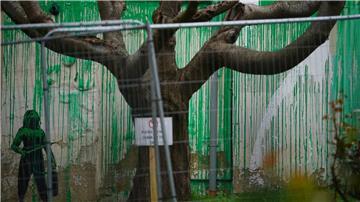 Das Banksy-Kunstwerk wurde mit weißer Farbe verunstaltet, nachdem es am Wochenende in Finsbury Park (London) auftauchte.