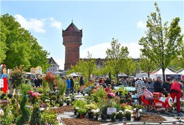 Der Konrad-Adenauer-Platz in Bremerhaven mit vielen Pflanzen
