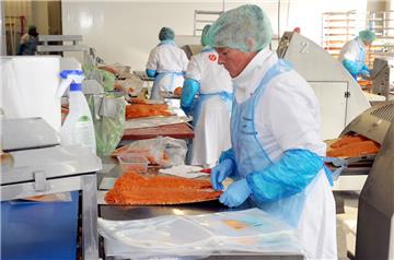 Das Bremerhavener Unternehmen "Deutsche See" ist der größte Fischhändler in Deutschland.