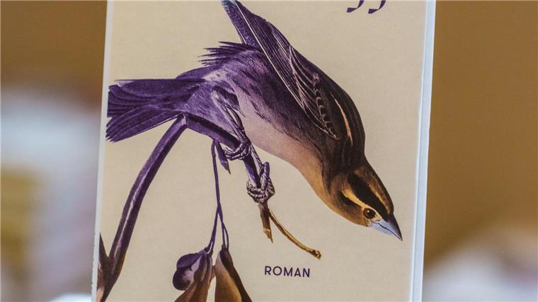 Das Buch „Lichtungen“ von Iris Wolff ist für den Deutschen Buchpreis nominiert. (Archivbild)