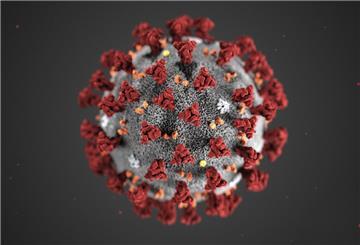 Das Coronavirus hat seinen Schrecken noch nicht verloren. Es gibt weitere Todes- und außerdem 126 neue Fälle im Landkreis.