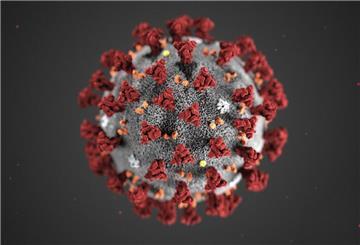 Das Coronavirus ist auch wieder im Landkreis Rotenburg aktiv.