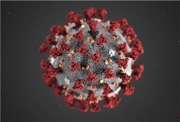 Das Coronavirus verbreitet sich weiter im Landkreis Rotenburg. Allerdings sinkt der Inzidenzwert leicht. 