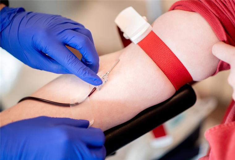 Ausfall von Blutspendern in Bremen und Niedersachsen befürchtet Eine Mitarbeiterin vom Blutspendedienst des Deutschen Roten Kreuzes (DRK) fixiert während einer Blutspende die Nadel