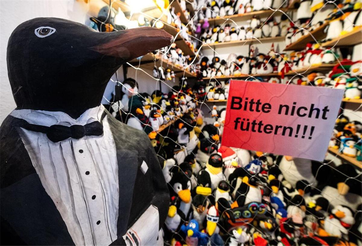 Eine Ära geht zu Ende: Pinguin-Museum in Cuxhaven schließt Zahlreiche Plüschpinguine sind im Museum zu sehen.