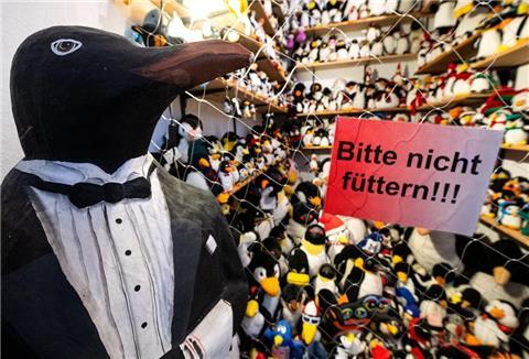 Zahlreiche Plüschpinguine sind im Museum zu sehen.