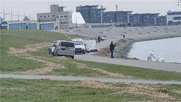 Musste Ekaterina B. wegen ihres Geheimnisses sterben? Fahrzeuge parken am Deich.