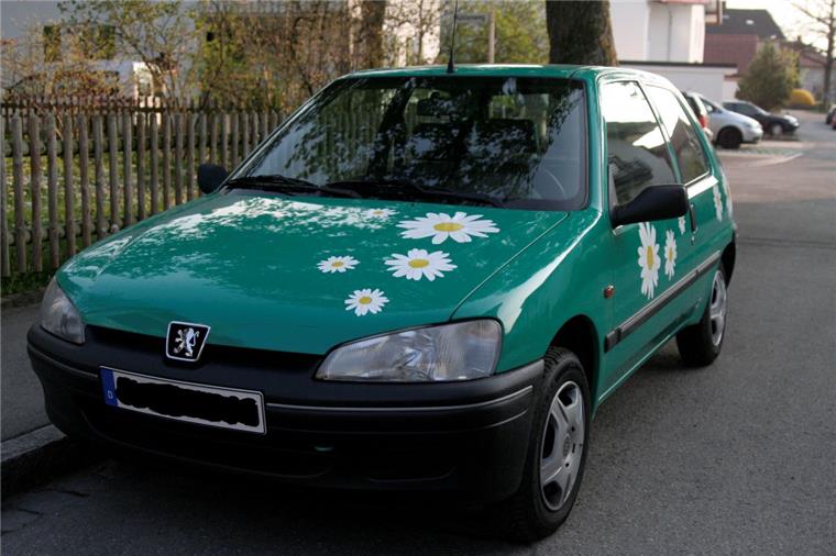 Das erste Auto von nord24-Redakteurin Lisa Klein trug den bezeichnenden Namen "Daisy" - Gänseblümchen. Auch viele ihrer Kolleginnen tauften ihre Autos. 