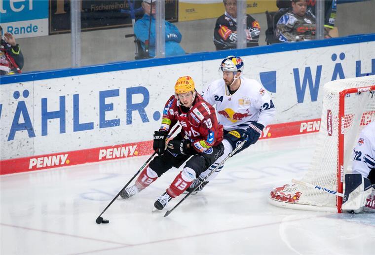 Fischtown Pinguins