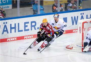 Fischtown Pinguins